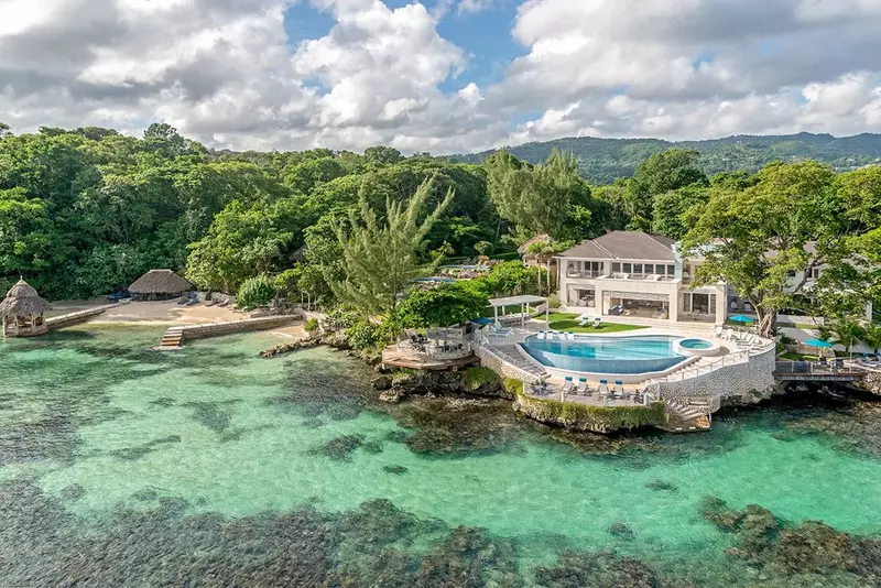 Artwood Reef in Jamaica